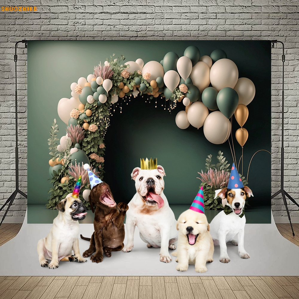 Photography Background Colorfu - Wedding Qq ulasan dan harga