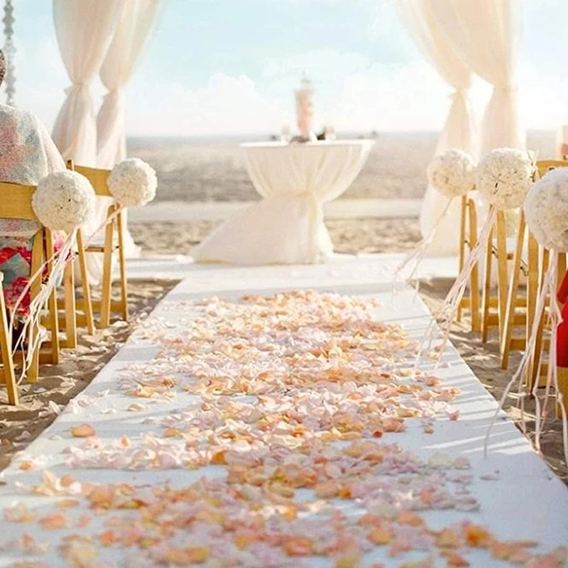 Romantic White Carpet Wedding  - Aisle Runner White ulasan dan harga