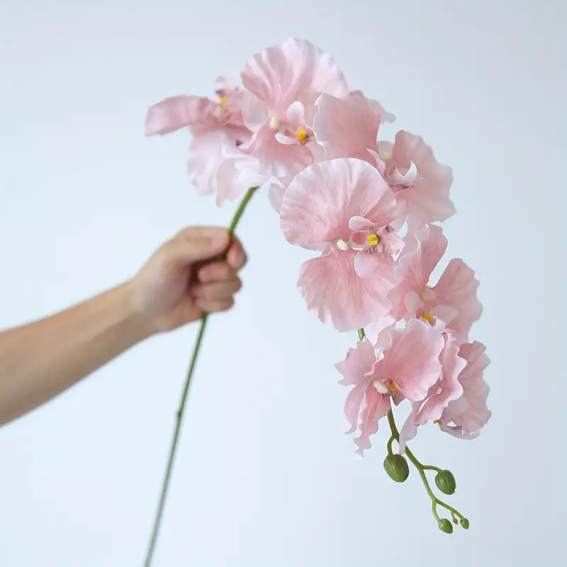 Long Branch Butterfly Orchids  - Wedding Arch Flower ulasan dan harga